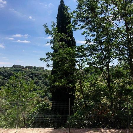 La Casa All'Oliveto Питиляно Екстериор снимка