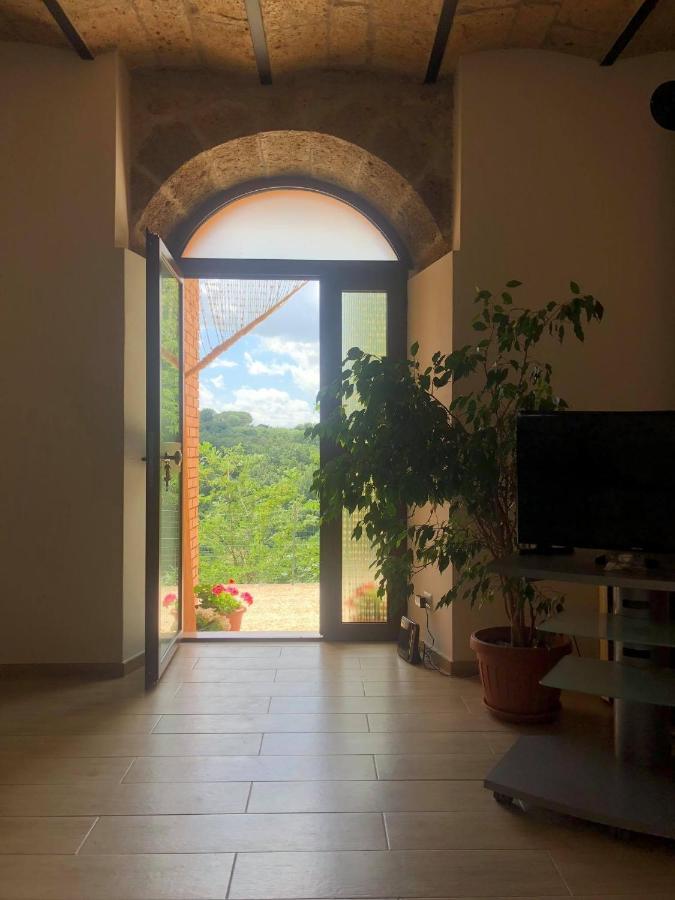 La Casa All'Oliveto Питиляно Екстериор снимка